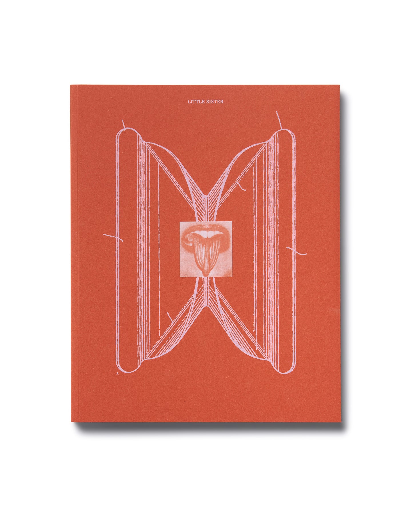 History Mother, Little Sister, 2023