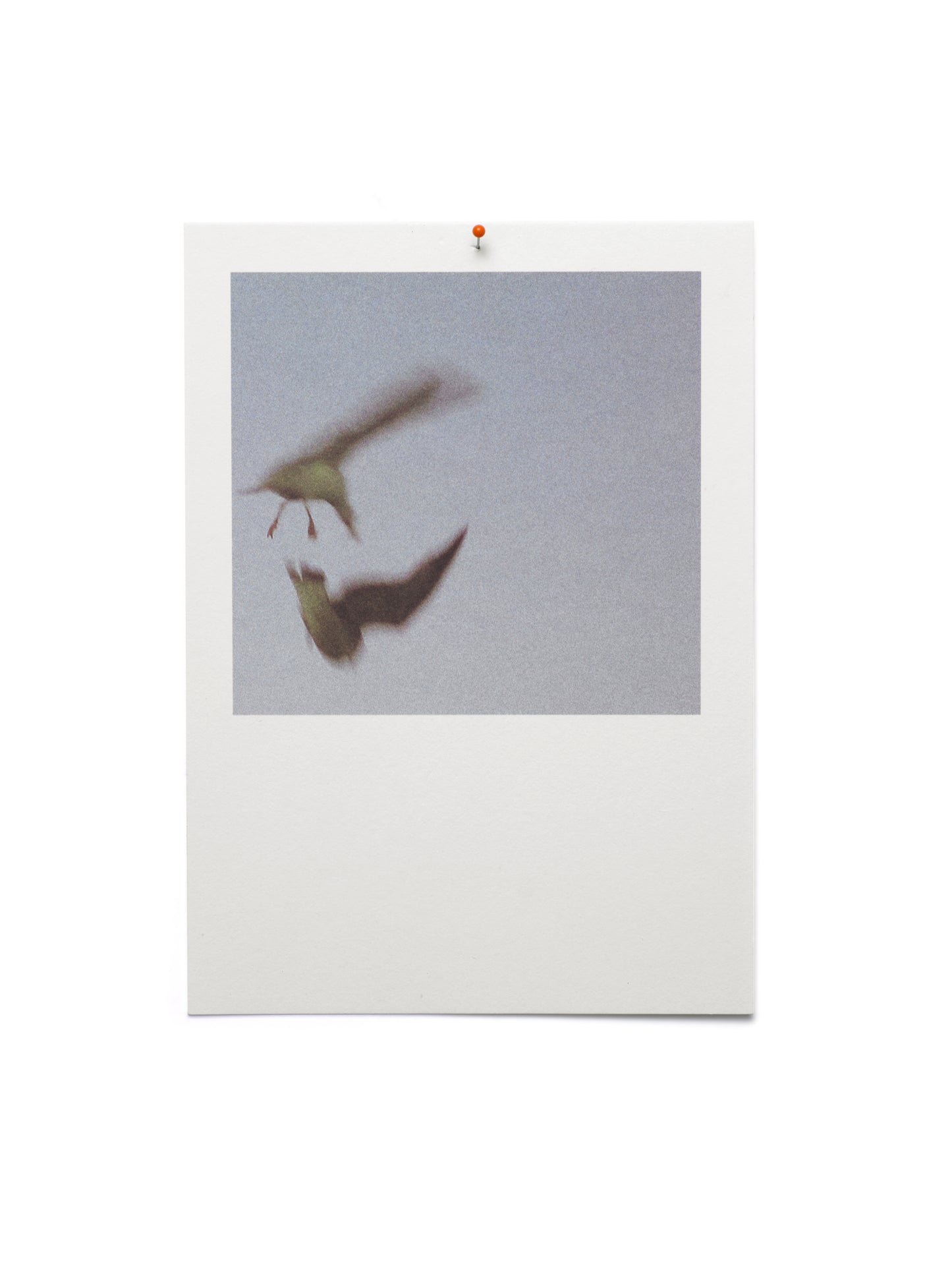 Fingrabjarg - A Bundle of Birthmarks, 2020