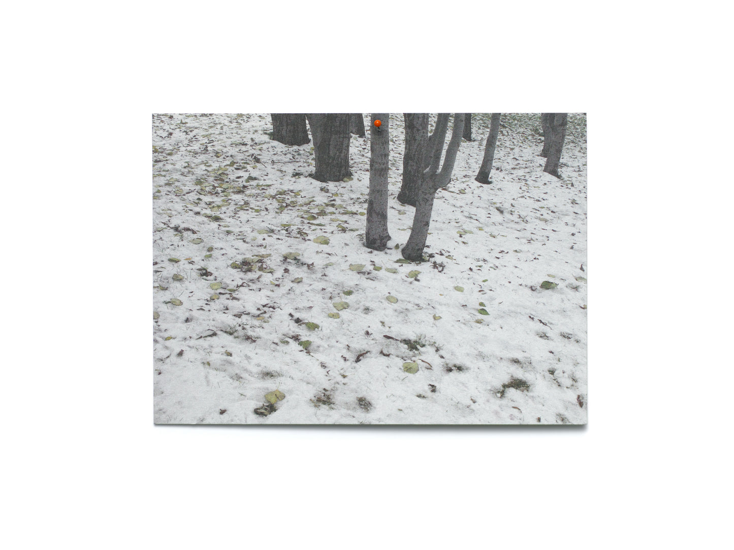 Fingrabjarg - A Bundle of Birthmarks, 2020