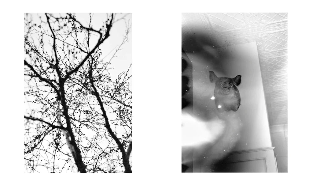 Your Arms Are So Soft They Are Like Lamb Wool, 2022