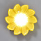 Little Sun