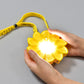 Little Sun